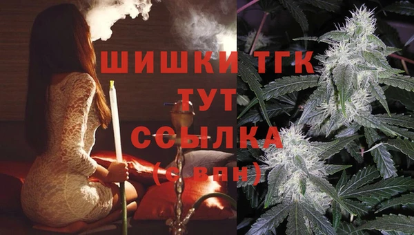 МДПВ Володарск