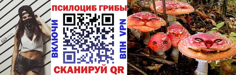 Галлюциногенные грибы GOLDEN TEACHER  мориарти наркотические препараты  Кадников 
