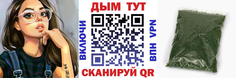 Конопля семена  блэк спрут зеркало  Кадников 